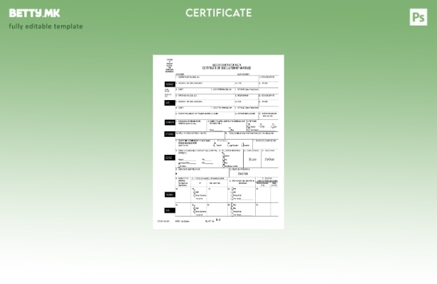 Модерен стил, шаблон за потврда за развод на американското Министерство за здрав